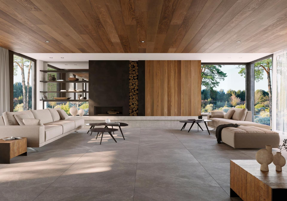 Sự kết hợp giữa gạch vân gỗ và gạch vân đá tạo điểm nhấn nổi bật cho phòng khách